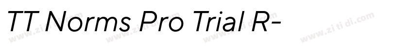 TT Norms Pro Trial R字体转换